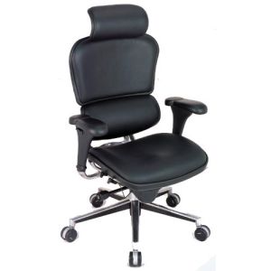 Ergohuman Chair LE9ERG - High Back with Headrest and Leather